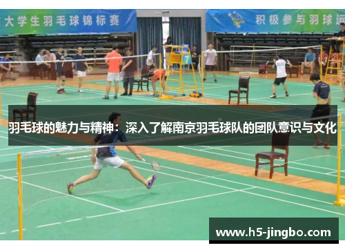 羽毛球的魅力与精神：深入了解南京羽毛球队的团队意识与文化